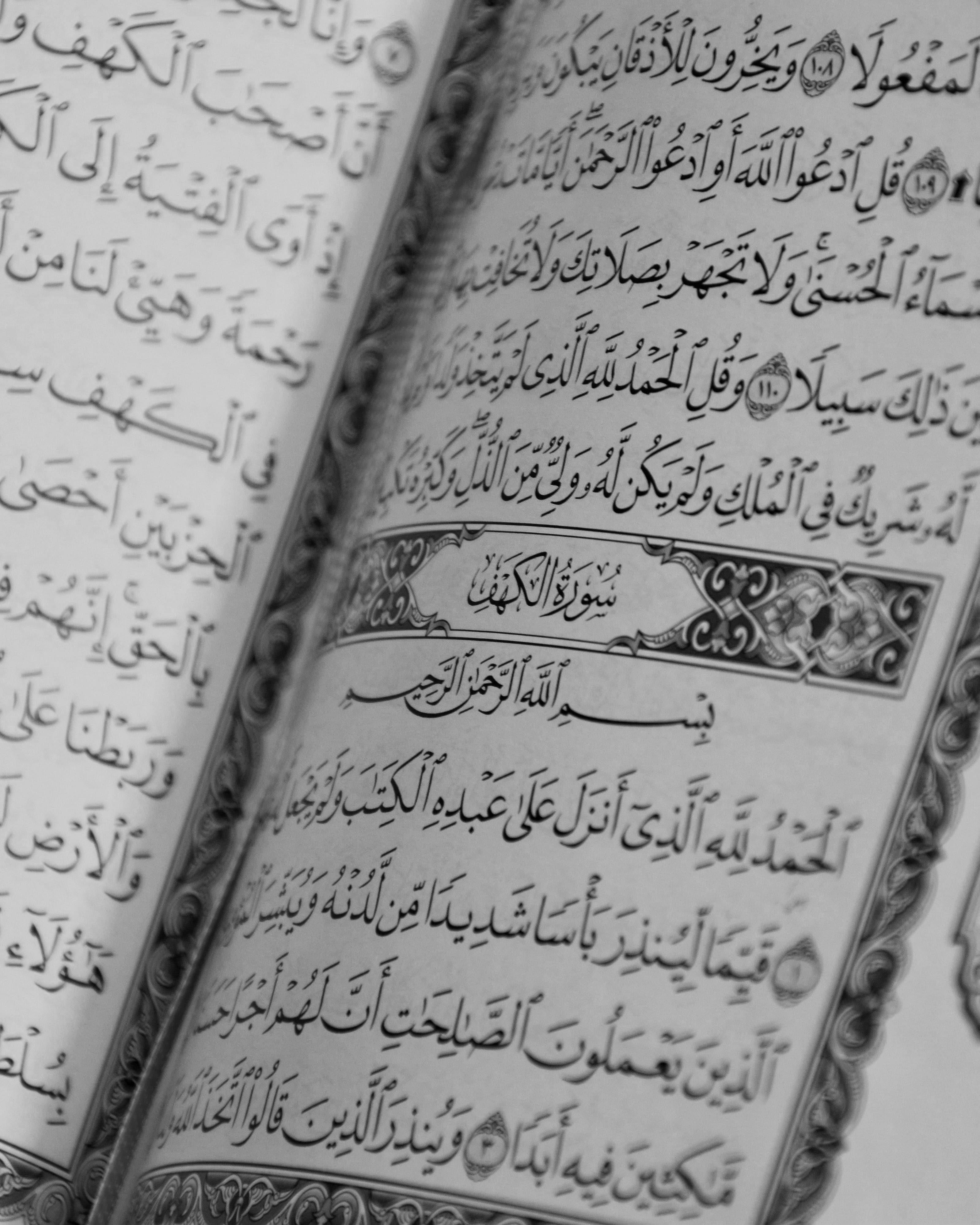 Education & Curriculum Innovation